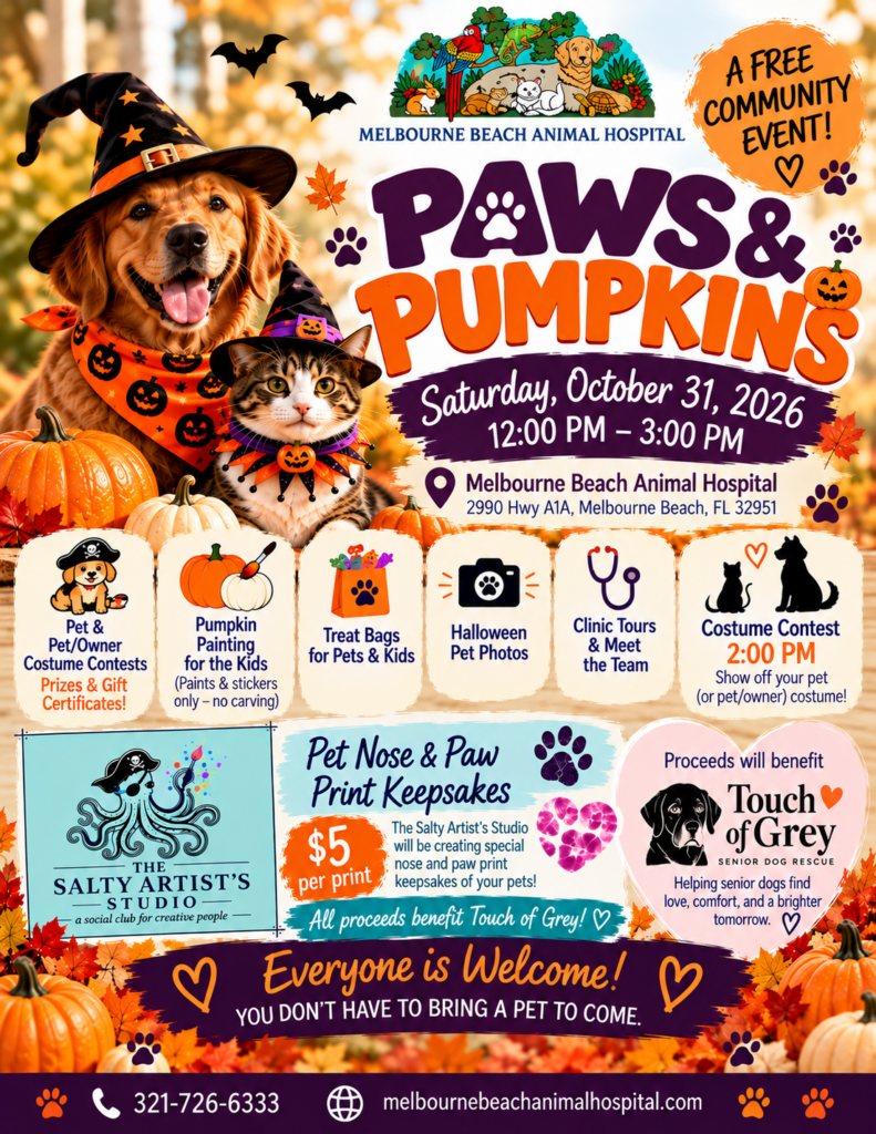 🐾🎃 Paws & Pumpkins – A FREE Community Event!